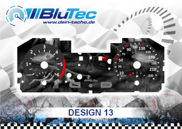 Speedometer Discs for Renault Clio 3 - DESIGN EDITION 13