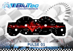 Speedometer Discs for Peugeot 206 CC - PULSE EDITION